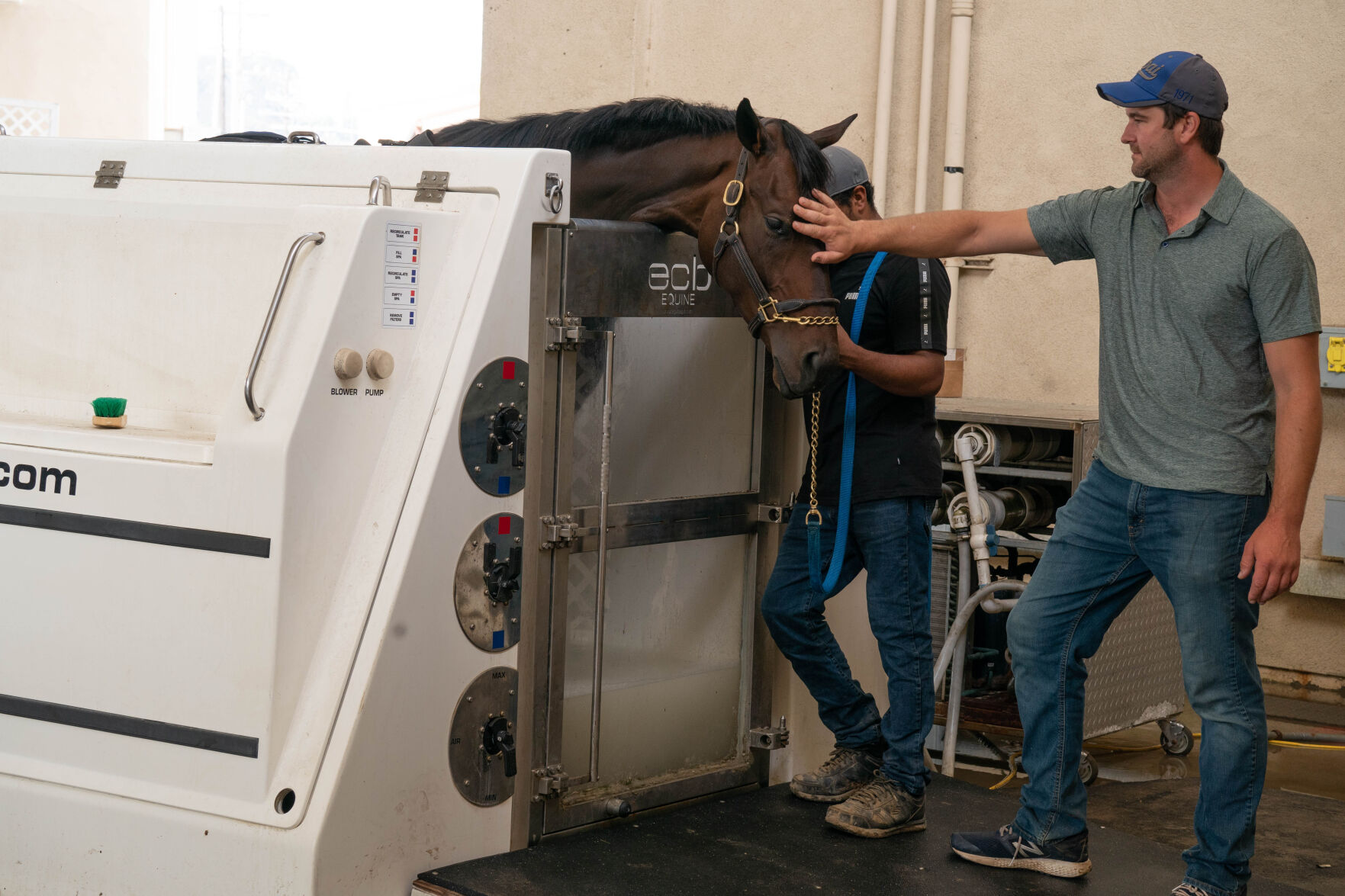 A Day At The Spa For A Race Horse